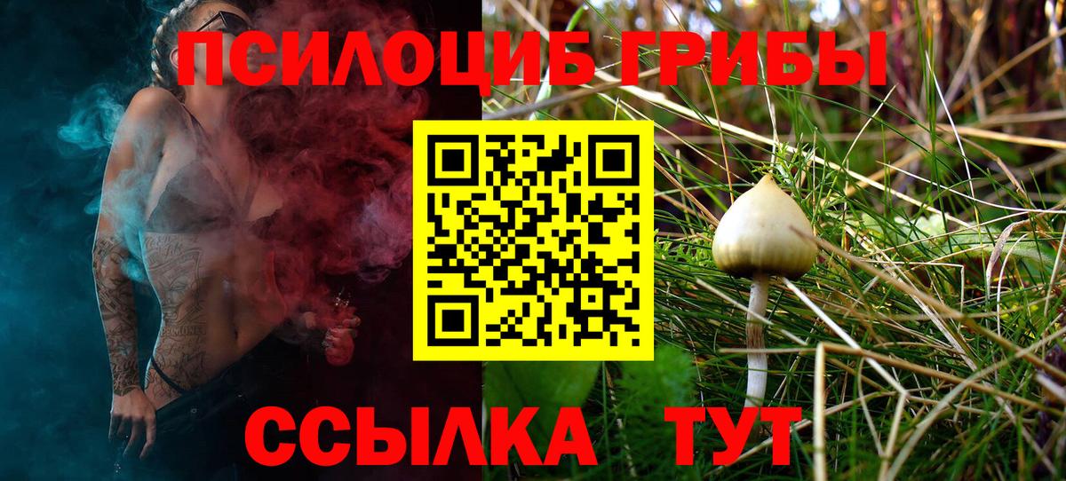 Галлюциногенные грибы GOLDEN TEACHER Магадан