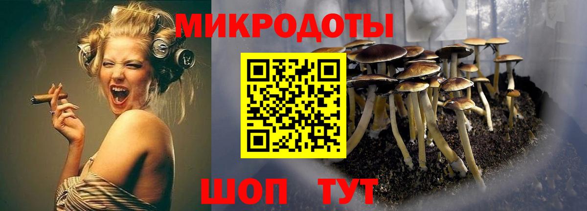 Псилоцибиновые грибы MAGIC MUSHROOMS  Вход с VPN  Магадан  Галлюциногенные грибы мицелий 